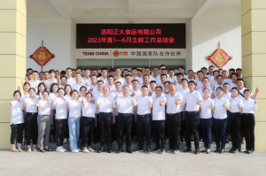 總結過去，計劃未來，協(xié)同創(chuàng)新，再創(chuàng)佳績！洛陽正大舉行2023年上半年工作總結會議